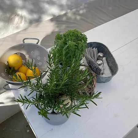 Letihome Paros Holiday home *